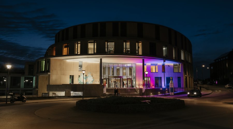 Institut de psychiatrie by night