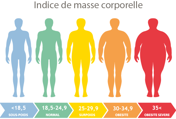 Indice de masse corporelle