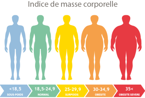 IMC_obésité