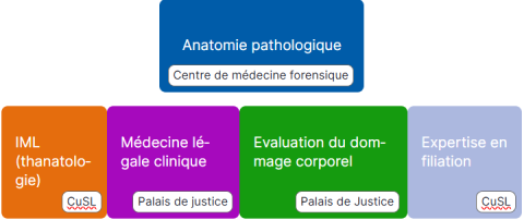 schema_medecine_forensique.png