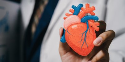 Coeur tenu dans une main