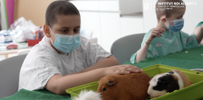 Séance de médiation animale